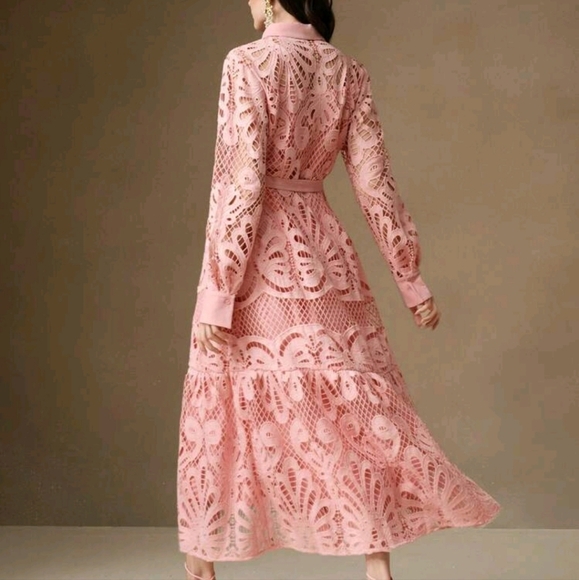 Women's Elegant Solid Color Lace Embroidered Button-Up Empire Waist Dress - Picture 4 of 4